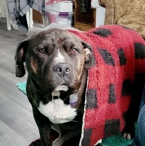 Meet your Posher, Stacey